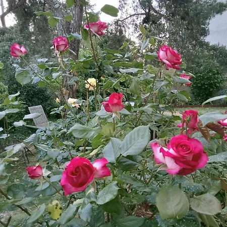 Villa La Maison Des Roses