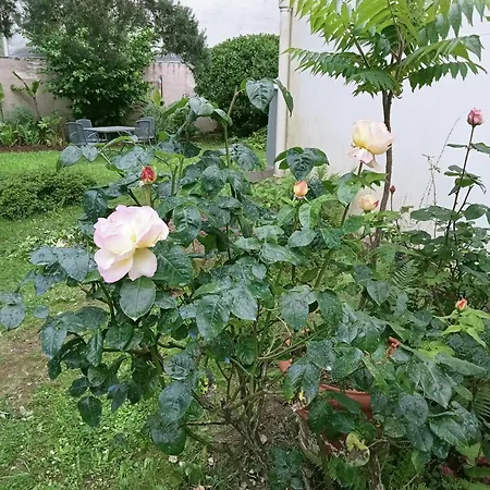 La Maison Des Roses Villa Nantes